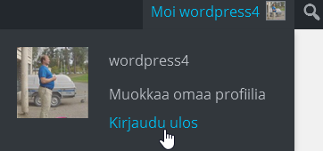 Sivustolle pääsee kätevästi klikkaamalla blogin nimeä ja valitsemalla Vieraile sivustolla.