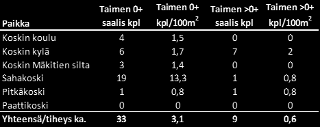 Taimenen esiintyminen Yhteensä 33 kpl nollikkaita, jotka todennäköisesti