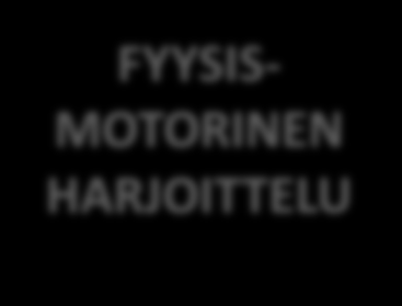 harjoitusolosuhteet Fyysinen harjoittelu osana kokonaisuutta FYYSIS- MOTORINEN HARJOITTELU SUUNNISTUS- TAITO HARJOITTELU seura