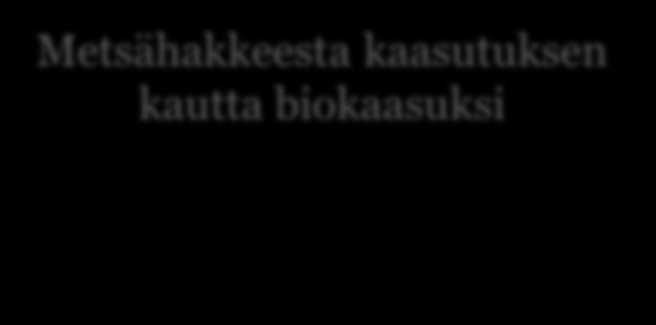 kaasutus ja jalostus (bio-sng-laitos) Erillislämmöntuotanto Maakaasuvoimalaitos Fossiilinen maakaasu Polttoaineen hankinta- ja