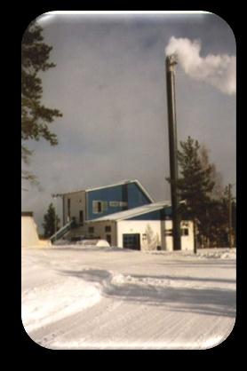 Pylkönmäki health centre, wood chips 200 kw BIOMASS BASED HEAT Kinnula district heat, wood chips 2000 kw ~ 80 heating plants 0,5 40 MW, total 100 MW ~ 8000 individual heating units 10 400 kw Fuel