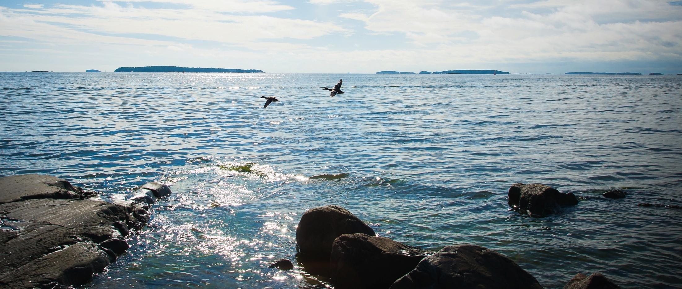 Itämerta kannattaa suojella Itämeren suojelun kustannusten, hyötyjen ja ohjauskeinojen arviointi -hanke Tulos Ainutlaatuista Palaute Kansalaisten ja valtioiden hyöty Itämeren tilan parantamisesta on