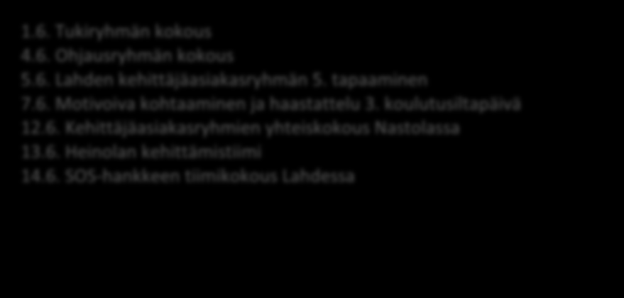 Alueiden kehittämistyön raportointi missä mennään kehittämisen suhteen? Kehittäjäasiakasryhmän sisällön suunnittelu ja ryhmätapaamisten toteuttaminen Kehittämistiimien kokoukset Ohjausryhmän 3.