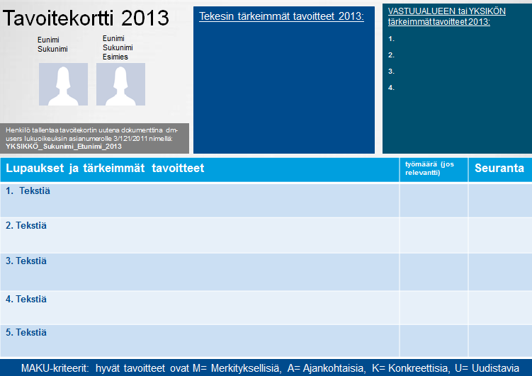 15 Kuva 12. Tavoitekortti 2013.