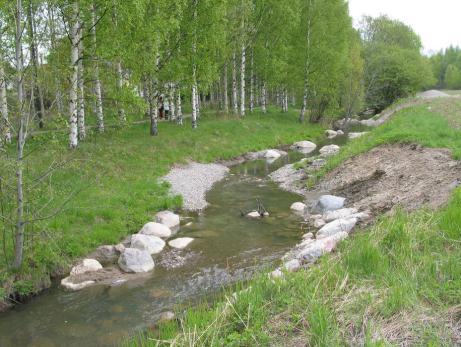 Kaupunkipurokunnostukset Longinoja, Vantaanjoen alin sivupuro Vapaaehtoisvoimin kunnostuksia tehty vuodesta 2000 Kunnostus-case study 2006 osoitti tulokset erinomaisiksi Vantaaseen istutettuja