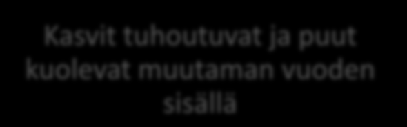 Lyhyestä virsi kaunis Majava tulee alueelle, kaataa puita ja patoaa puron Veden virtaus hidastuu Vesi nousee kuivalle maalle Veden mukana kulkevat maaainekset ja ravinteet vajoavat altaan pohjalle