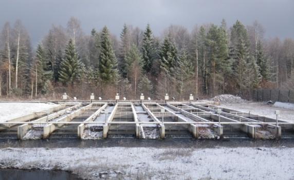 Kokeellisten tutkimusten kertomaa: (Vehanen ym. 2008, Huusko & Vehanen 2011) Asetelma: --villejä ja viljeltyjä poikasia (ikä 1+) koealustoilla sekä yksin että yhdessä.