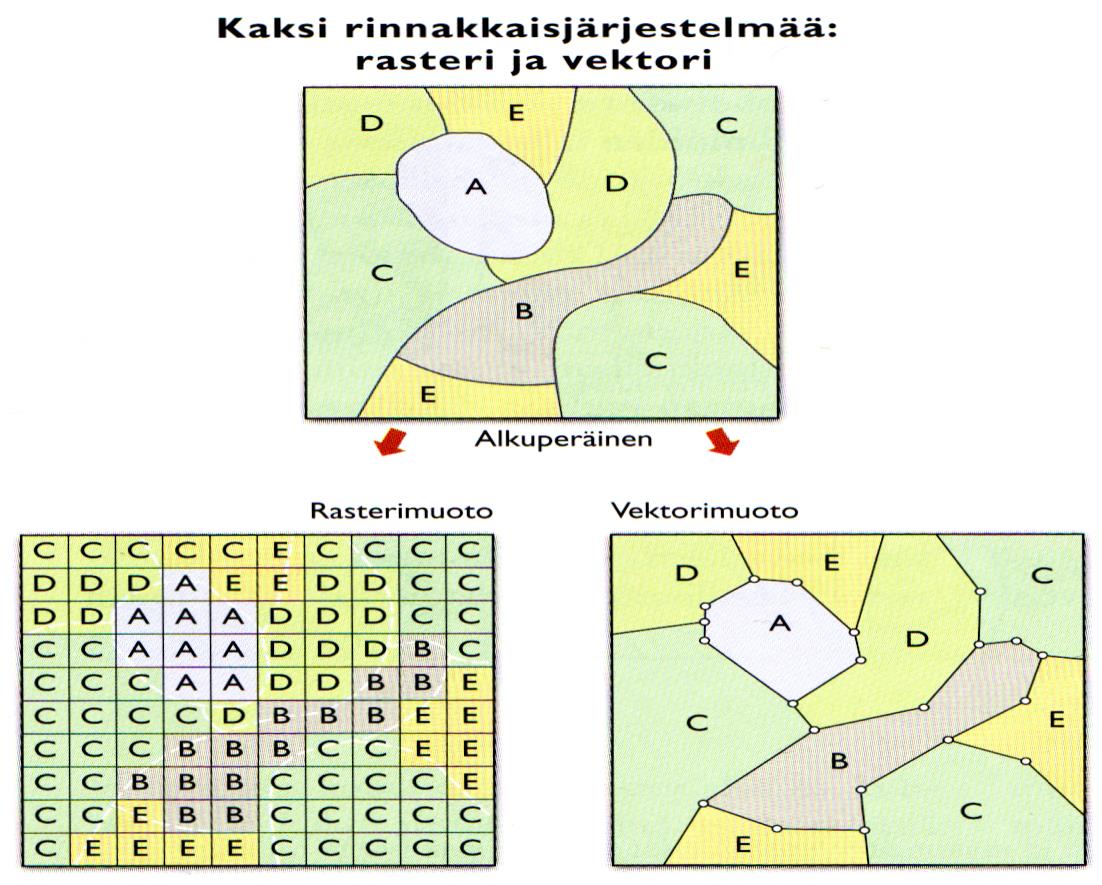 Paikkatietoaineisto on joko rasteri- tai vektorimuotoista Rasterimuodossa pienin yksikkö on neliö, pikseli josta tiedot on kerätty. Halpa tallennusmuoto, helppo kerätä aineistoa.