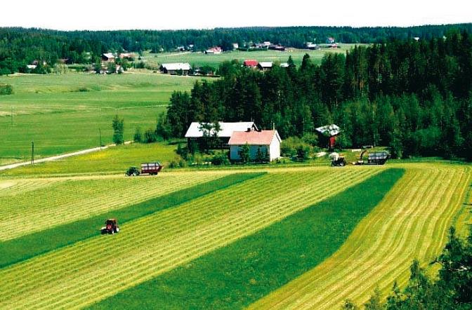 Valio Oy proteiinia ruohosta Idea: Kehittää kotimaisille maidontuottajille valkuaisrehua heidän omilla pelloillaan tuotetusta säilörehusta.