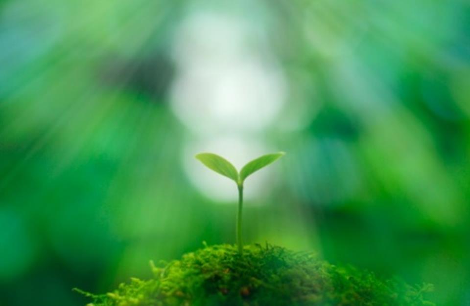 Gaia Consultingin Biorefiner-palvelu Idea: Luoda maailman paras ja helposti ymmärrettävä palvelu kasvavan biotalouden arvoketjujen kestävyyden arviointiin.