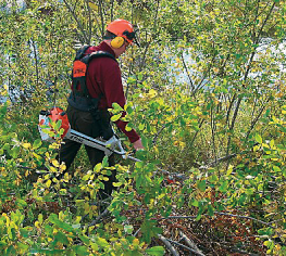 Yksittäisiä pyöreämuotoisia pajuja on syytä myös jättää, jotta lopputulos olisi luonnollinen.