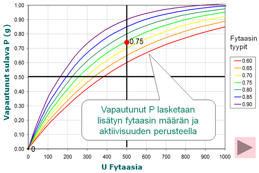 Rehun fytaasiaktiivisuuden ja fytiinihaposta vapautuneen fosforin välinen suhde on käyräviivainen, jolloin fytaasilla saatu lisähyöty pienenee, kun