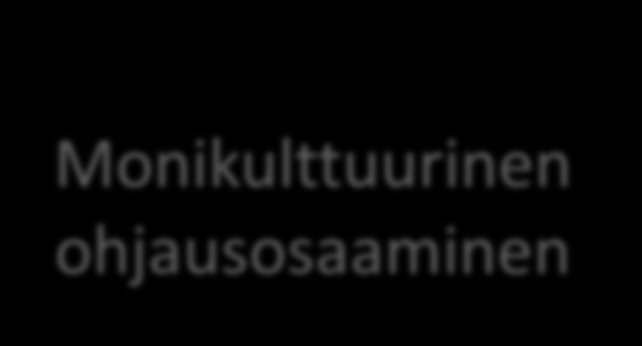 Kulttuurien tuntemus ja kulttuurierojen tuntemus Kulttuurisen sopeutumisprosessin tuntemus Monikulttuurinen ohjausosaaminen Sanaton viestintä Oman kulttuurin vaikutusten tiedostaminen omassa