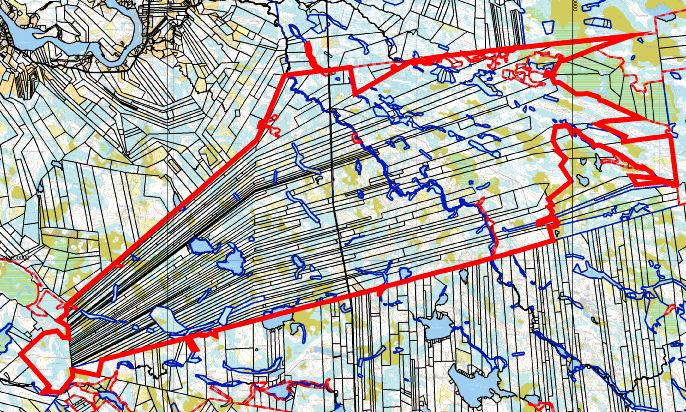 Tilusjärjestelyn tarveselvityksen loppuraportti ja