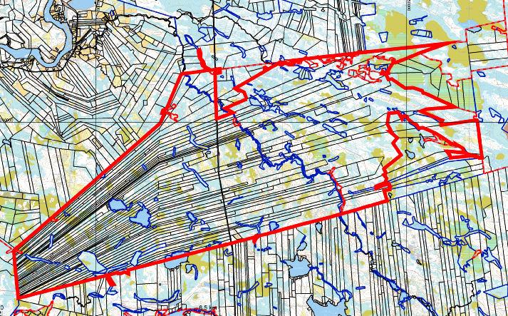 Tilusjärjestelyn tarveselvityksen