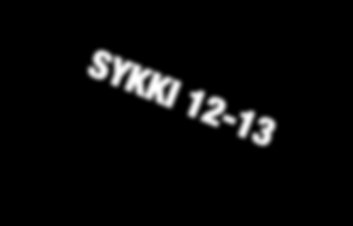 SYKKI 12-13 SYKKI