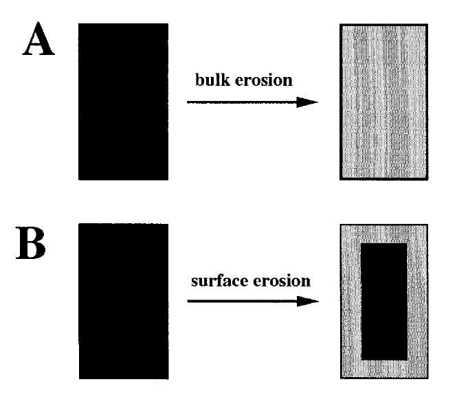 Biopolymeerien hajoaminen Fysikaaliset hajoamismekanismit A: homogeeninen hajoaminen B: