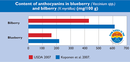 (=forest blueberry)