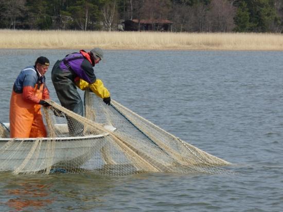 alueellinen kehitys Tutkimuksen ja kalastajien kumppanuus