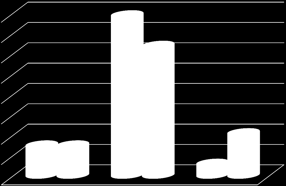 Ulkomaalaisten ikärakenne Itä-Suomessa 79 % 80 70 64 % 60 50 40 30 20 10 15 % 15 % 6 % 21 % 0 0-14 15-64 65- Ikäryhmän osuus ulkomaan kansalaisista, % Ikäryhmän