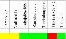 Silmäkulma, ohjas ja otsa: Valkoinen silmäkulmanjuova ja otsa on selvästi merkitty muistiinpanoihin ja todettavissa myös valokuvista.