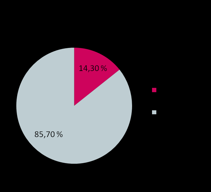 Omistus Vuoden lopussa yhtiön markkina-arvo oli 753,3 milj.