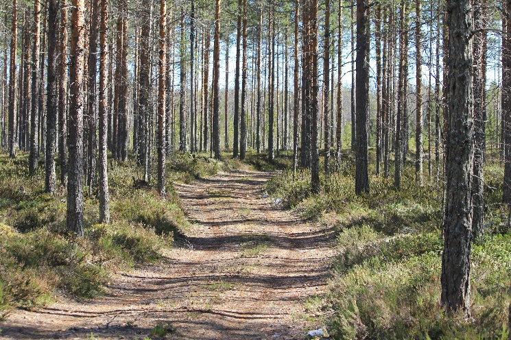 maakunnan kylille. Viime vuonna Oulussa järjestettyjen Kyläpäivien jälkeen järjestelyvastuun otti rohkeasti Sydänmaankylän Kyläseura.