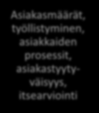 Palveluprosessi TE-toimisto Osatyökykyinen asiakas Työkykykoordinaattori Verkkopalvelu Sähköinen kysely työelämätutka puh.haastattelu lääk.