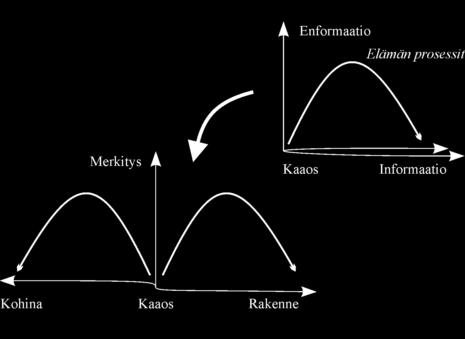 Informaation ja enformaation ero Kaaoksessa mahdollisuudet ovat kaikki vielä