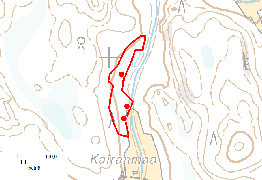 Kuva 38. Kairanmaan liito-orava. Todettu liito-oravan elinympäristö on rajattu punaisella viivalla ja keväällä 2013 todetut jätösten löytöpaikat punaisilla pisteillä.