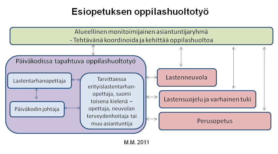 terveydenhuoltoon kuuluvan erityisen tuen toteuttamisessa.