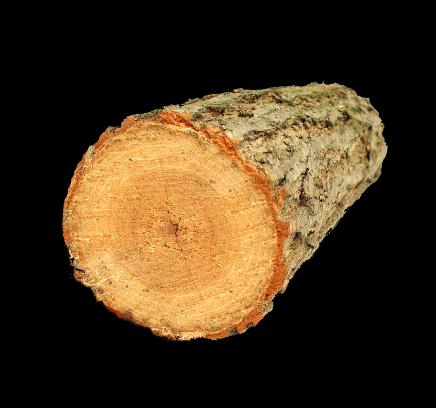 Metsäpohjainen biomassa tarjoaa monia mahdollisuuksia innovaatioihin Kuiduista sellua / massaa Kuiduista Biofibrillejä Uuteaineista biodieseliä ja biokemikaaleja