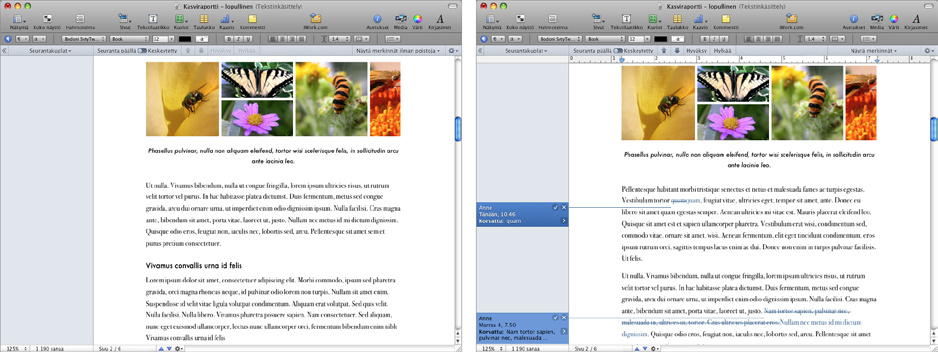 Seuraavissa esimerkeissä näet Tomin alkuperäisen dokumentin ja muokatun version, jossa on käytetty muutosten seurantaa.