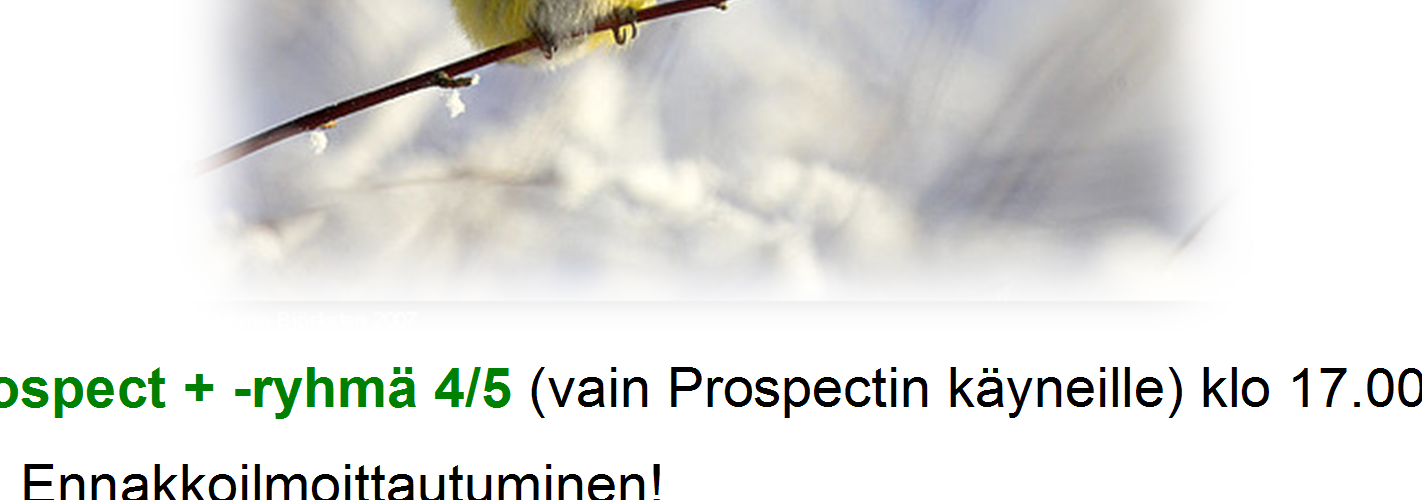 ma 2.2 Prospect + -ryhmä 4/5 (vain Prospectin käyneille) klo 17.00 18.30 toimistolla. Ennakkoilmoittautuminen! ti 3.2 vertaisryhmä päiväsaikaan klo 12.00 13.30 toimistolla Rauhankatu 3, katutaso.