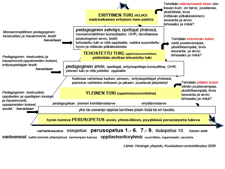 Kaavio: Yhteenveto: Yleinen tuki