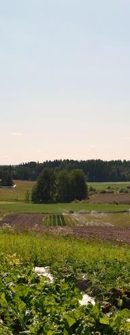 Luomupeltoala Suomessa oli vuonna 2014 yhteensä 4 247