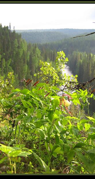 Tuloksia Barentsin alueelta Tietoisuuden lisääminen ja viestintä Parhaat käytännöt ja minimistandardit suojelualueiden hoidossa ja käytössä Kestävä