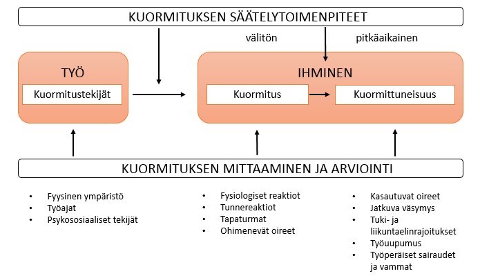 Kuva 1. Yksinkertaistettu kuormitusmalli (Lindstöm yms. 2002, 11.) Lindström yms. ovat laatineet kirjassaan Työnkuormitus ja sen arviointimenetelmät yksinkertaistetun kuormitusmallin.
