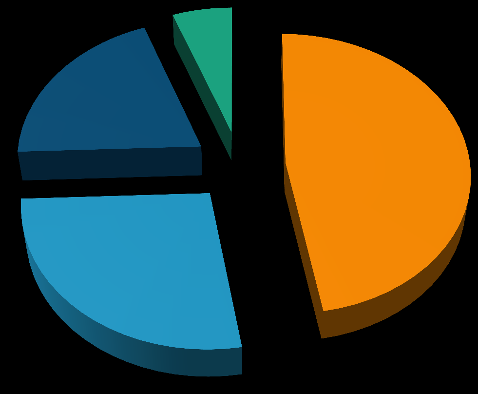 Jyväskylän yhteiskokoelman osuus kokoelmasta 2014 (niteet) 6% 20% 47%