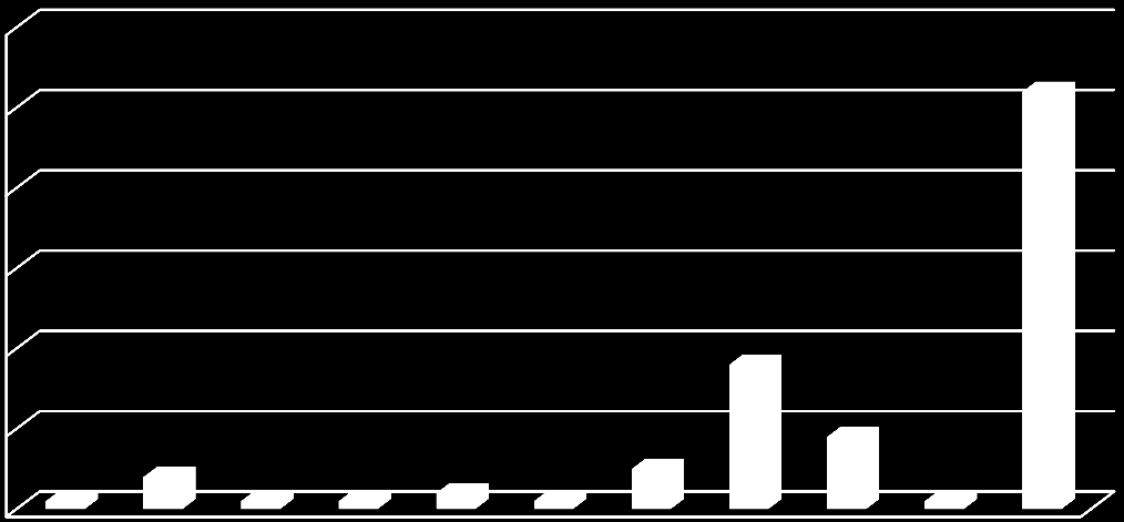 tärkeimpänä kielenä asiakaspalvelussa ulkomaisten asiakkaiden kanssa.