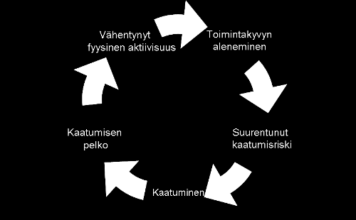 Kaatumisen riskitekijät Toimintakykyyn vaikuttavia (KTL 2005) tekijöitä (Talvitie ym 1999) Iän aiheuttamat muutokset Sairauksien aiheuttamat muutokset /