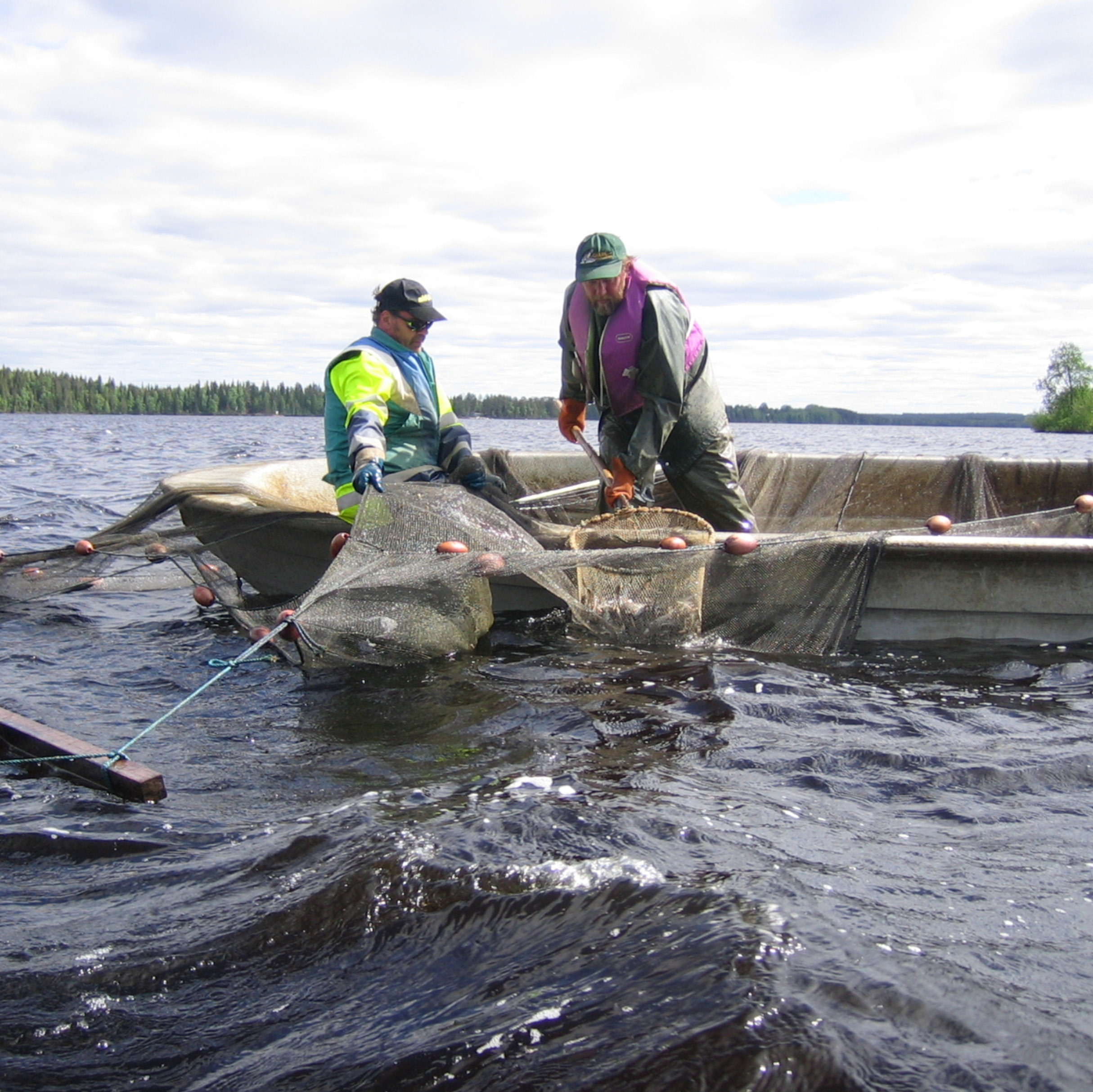 RAPORTTEJA 50 2012 Vesien tila hyväksi