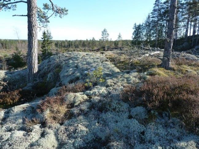 28.4.2015 Kääntänyt