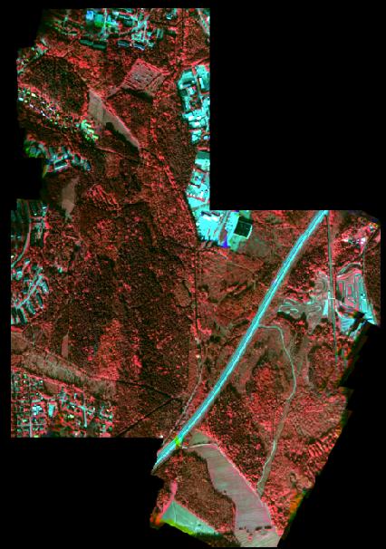 veltuneet suoraan metsäisen blokin painotukseen.