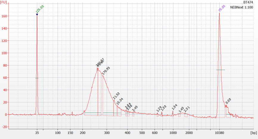 42 Kuva 10. NEBNext Fimm_x1-kirjaston Agilent High Sensitivity Chip -ajo (kirjasto laimennettu 1:100).