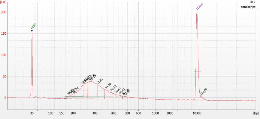 43 Kuva 14. TotalScript Fimm_x1-kirjaston Agilent High Sensitivity Chip -ajo. Kuva 15.