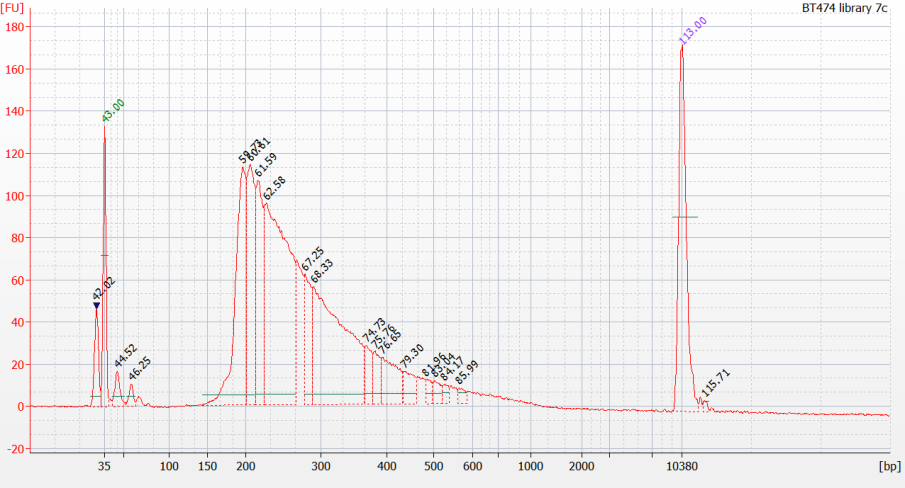 Nextera Fimm_x2-kirjaston Agilent High Sensitivity Chip -ajo. Kuva 17.