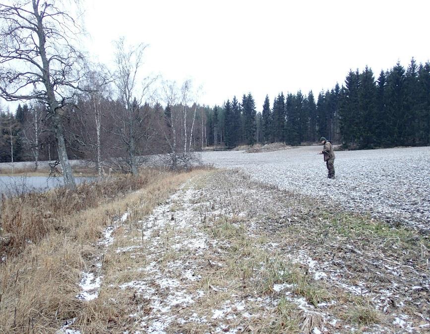 " Poutiainen & Sepänmaa 2014: Hännisen talotontti on pellolla, loivan rinteessä, sen alaosassa lähellä järvenrantaa. Pelto oli kynnetty ja peitteetön.