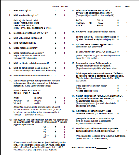 Liite 2 MMSE,