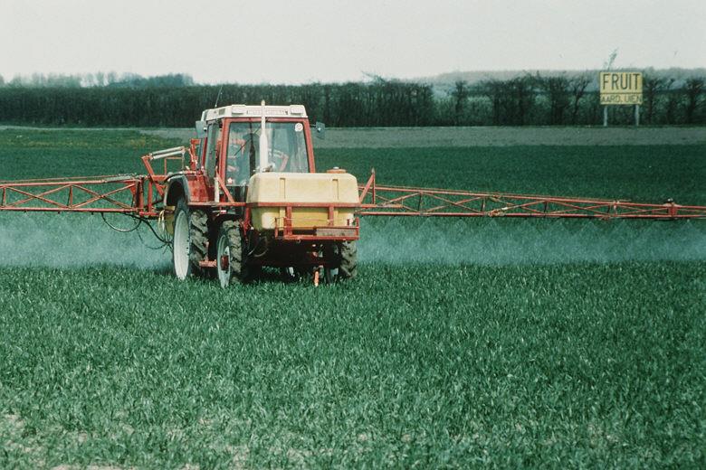 Kemiallinen laatu EU - lainsäädännössä useimmat laatuvaatimuksina (standards) Fluoridi, arseeni (maaperästä) Torjunta-aineet (pesticides), TCE, (ihmistoiminnoista) Kupari, nikkeli, kromi, lyijy